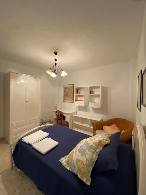 Apartmán Piso En El Centro De Granada. Parking Opcional Exteriér fotografie